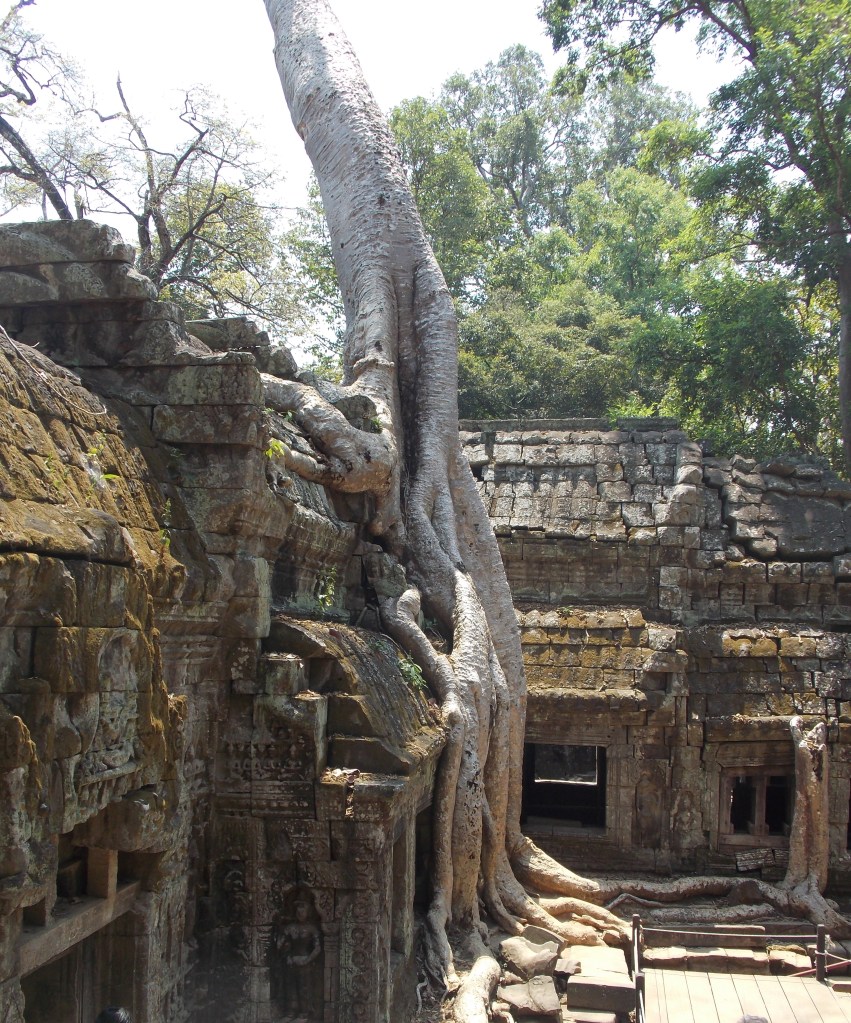 The jungle is taking over the Tomb Raider Temple.