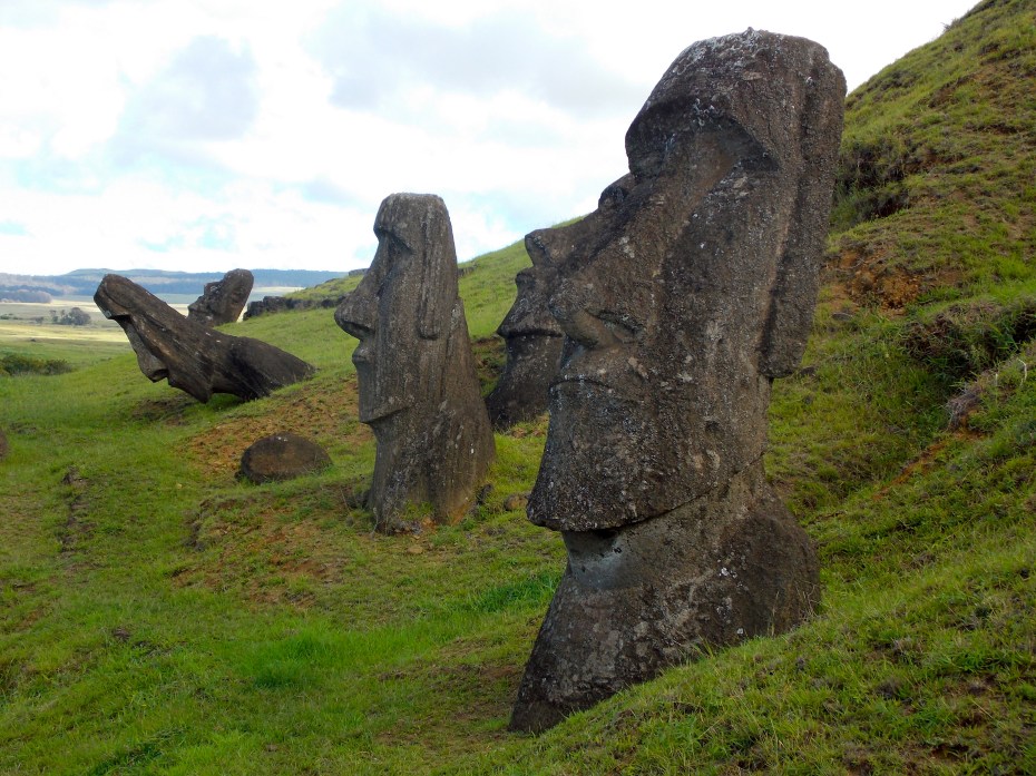 Heads of some of the 400 Moai at the main quarry site.