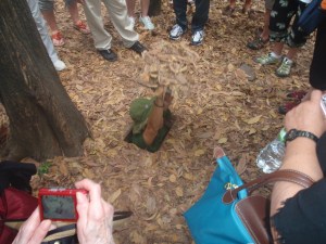 Hidden tunnel entrance.