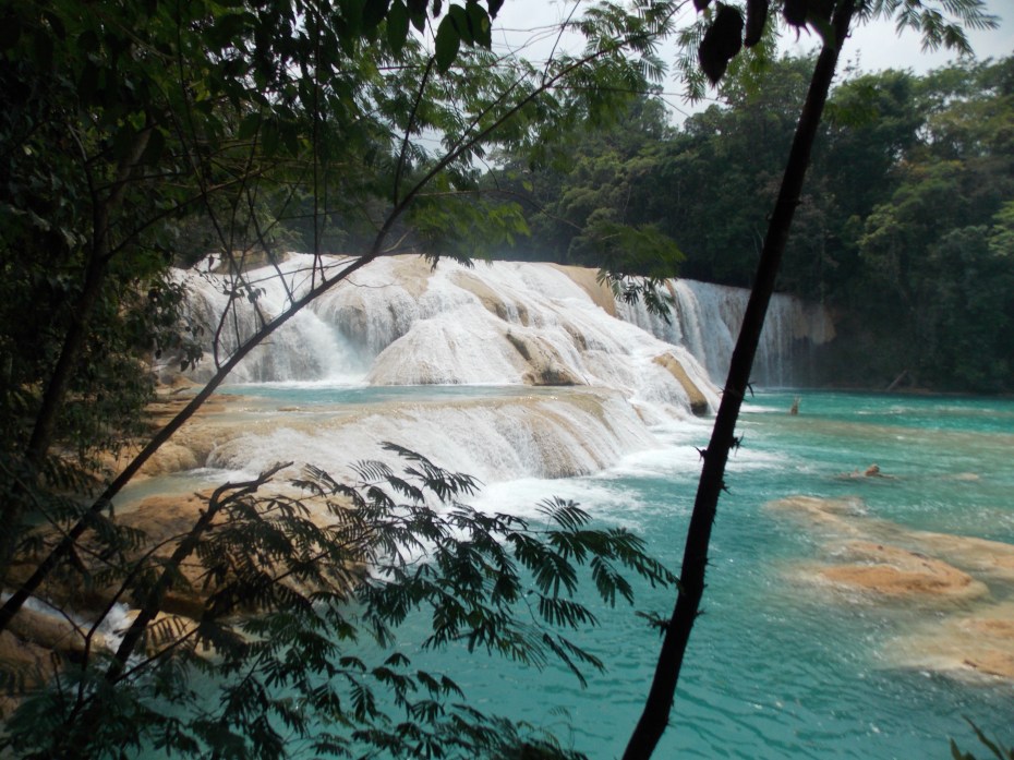 The falls at Agua Azul ... a combination of the limestone and local vegetation color the water dramatically