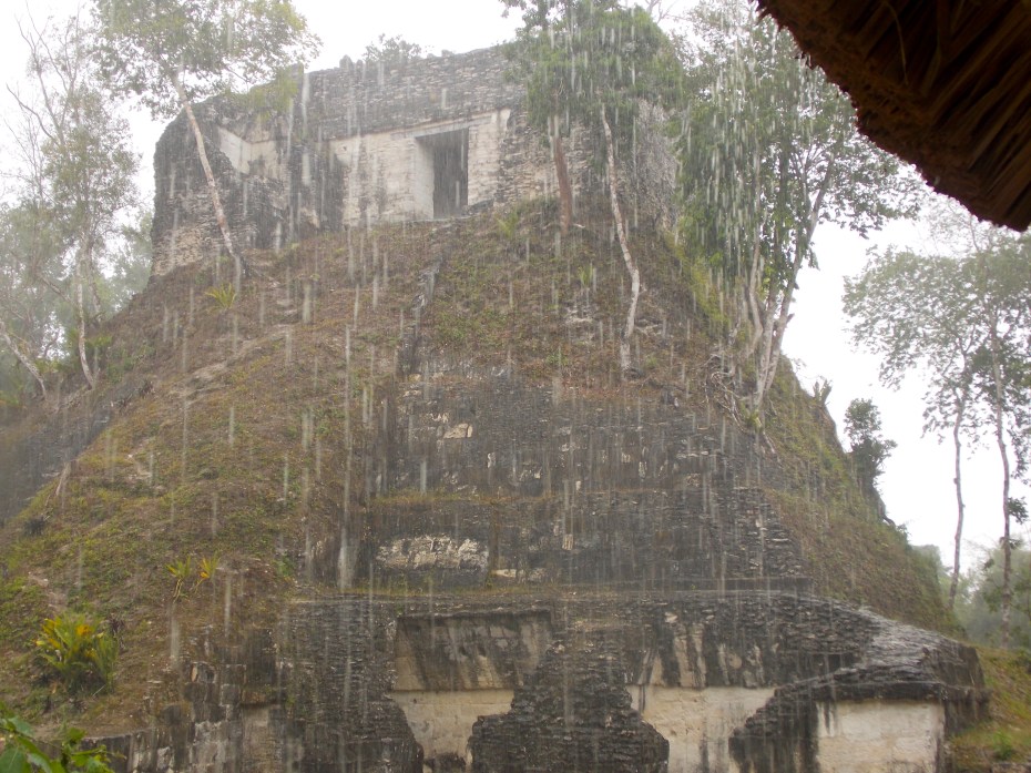 The rain brought much-needed relief to the jungle.